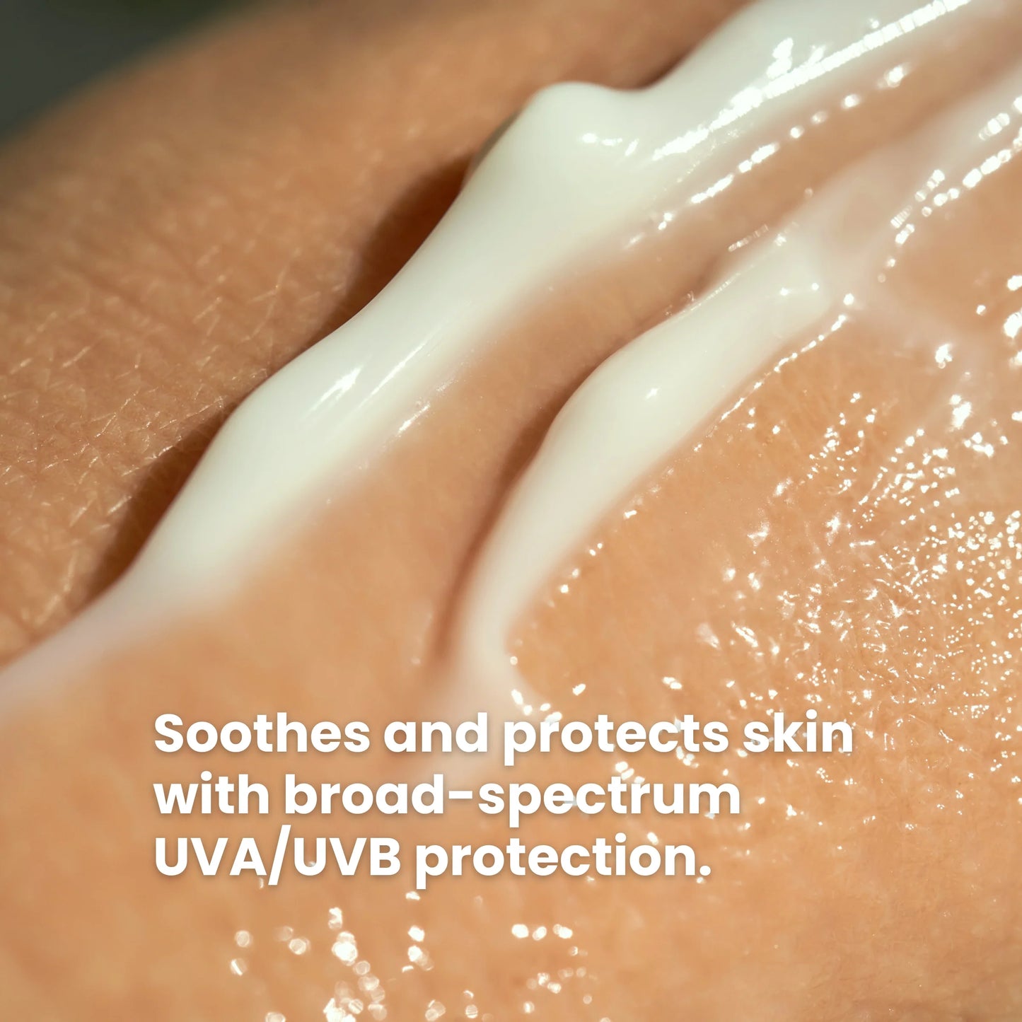 Aloe Sun Sunscreen
